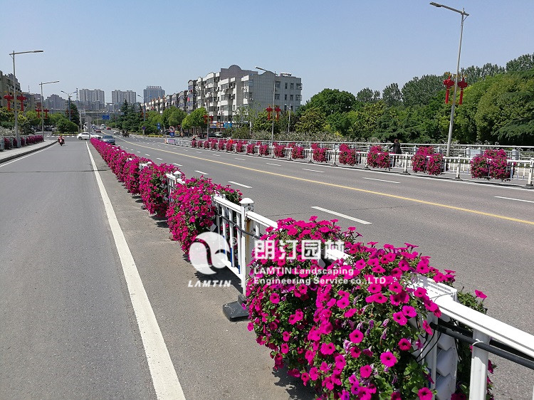 朗汀园林护栏绿化