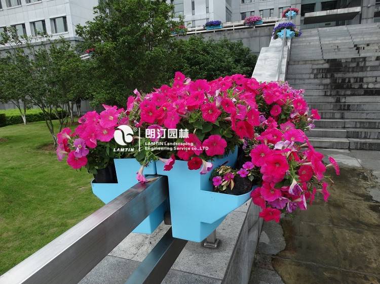 江西上饶护栏花盆绿化案例